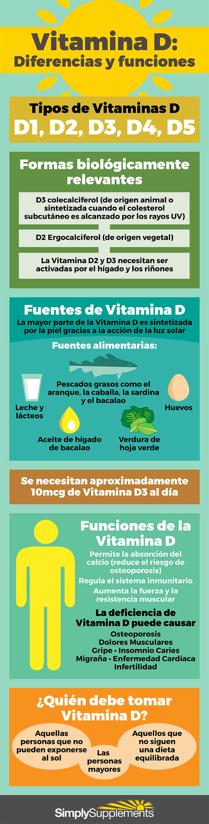 infografia-vitamina-d-diferencias-y-funciones
